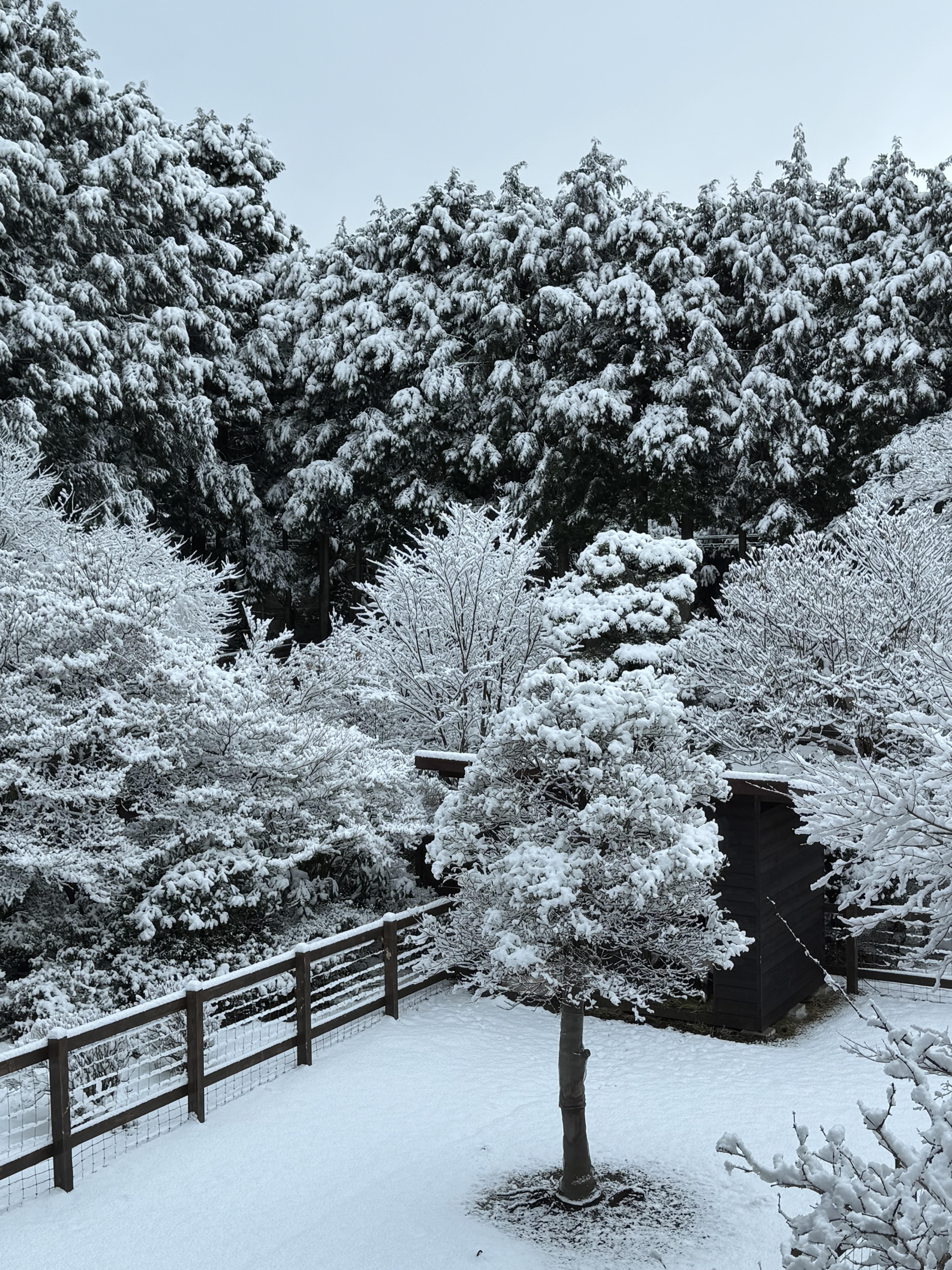 特別な日のためのご相談窓口