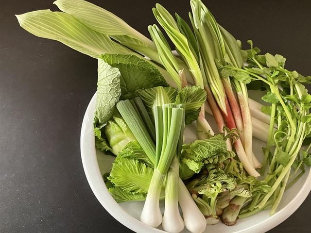 グルメで彩る特別な宴
